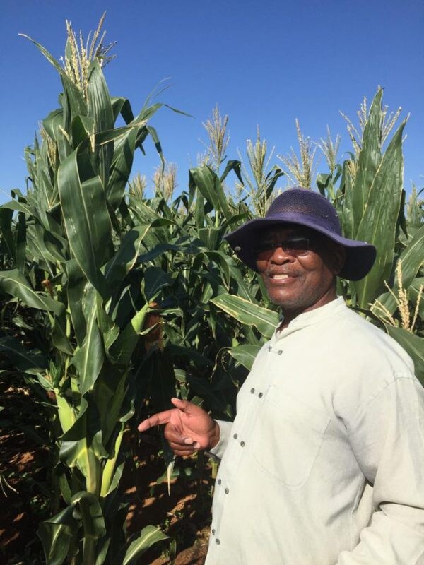 African farmer delighted with his quality seed crop