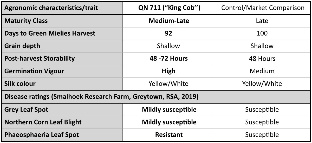 King Cob QN711 Table